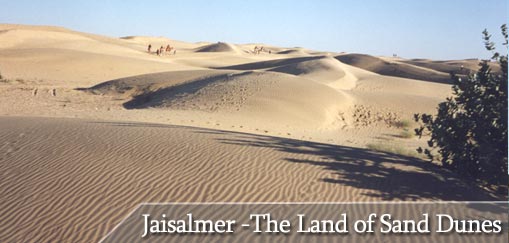 The Sand Dunes of Sam, Jaisalmer