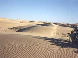 Sand Dunes of SAM, Jaisalmer