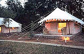 Luxury Tents at Sherbagh, Ranthambore