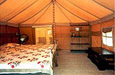 Luxury Tents at Sherbagh, Ranthambore